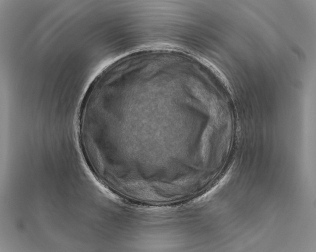 X0000111790989200908201128