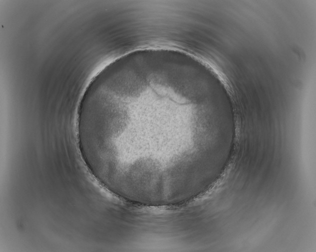 X0000111790990200908201128