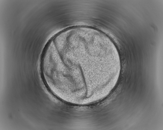 X0000111790991200908201128