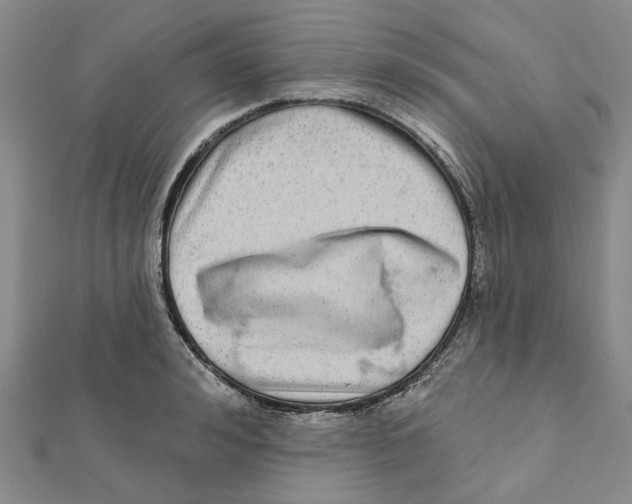 X0000111790992200908201128