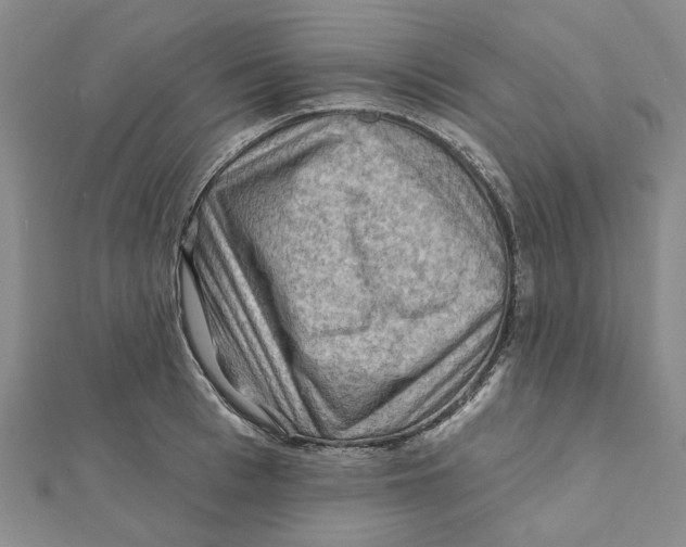 X0000111790993200908201128