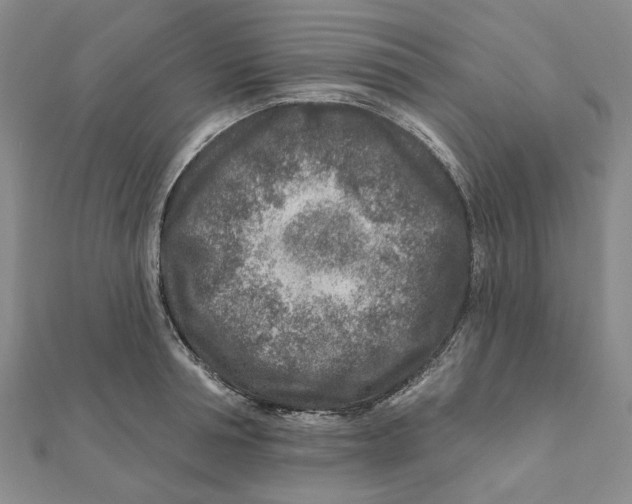 X0000111790994200908201128