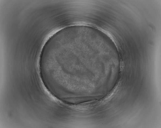 X0000111790995200908201128