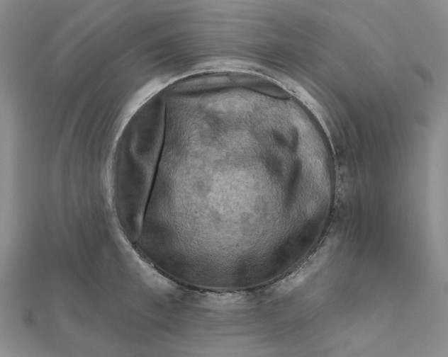 X0000111790997200908201128