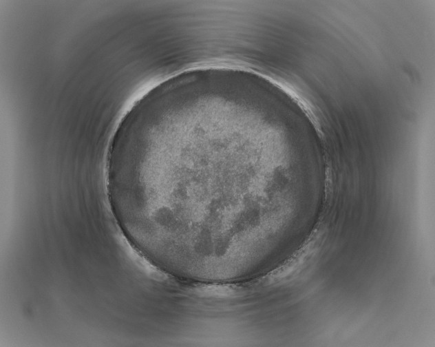 X0000111790998200908201128