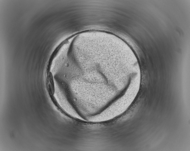 X0000111790999200908201128