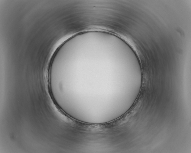 X0000111791003200908201128