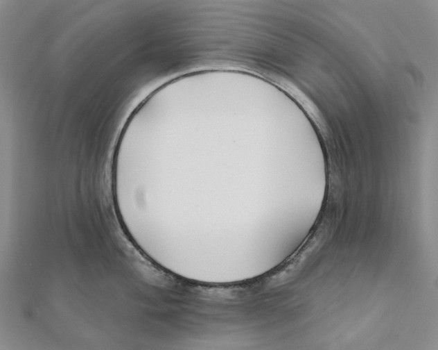 X0000111791004200908201128