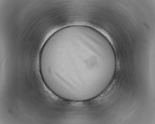 X0000111791006200908201128