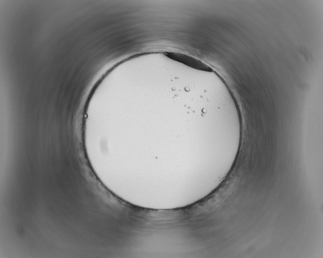 X0000111791008200908201128