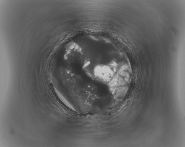 X0000111791009200908201127