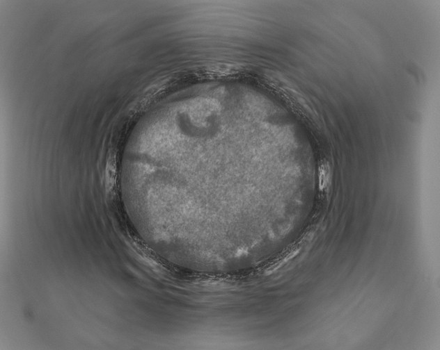 X0000111791011200908201127