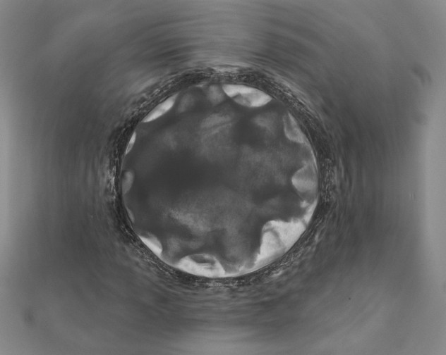 X0000111791013200908201127