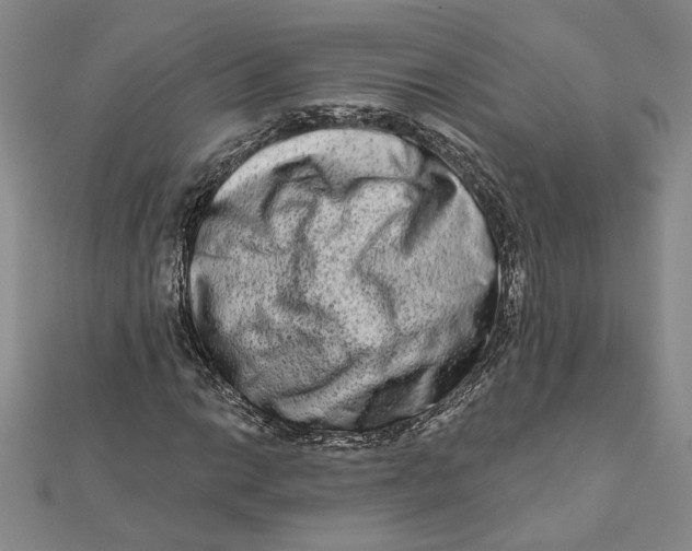 X0000111791014200908201127