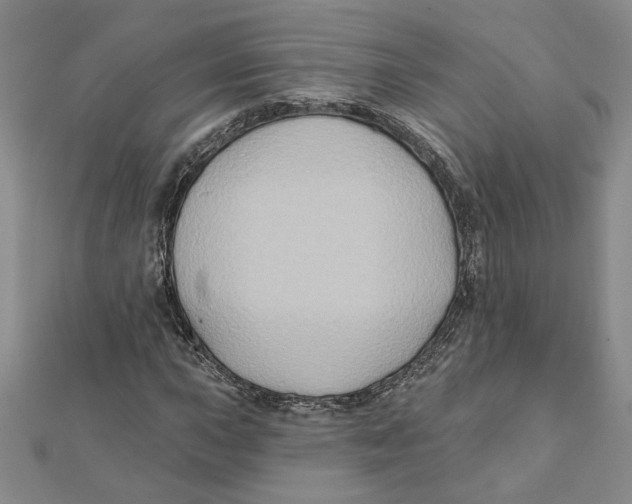 X0000111791015200908201127