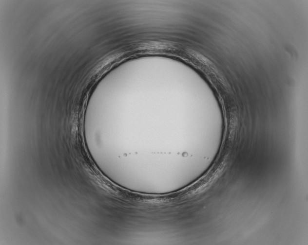 X0000111791017200908201127