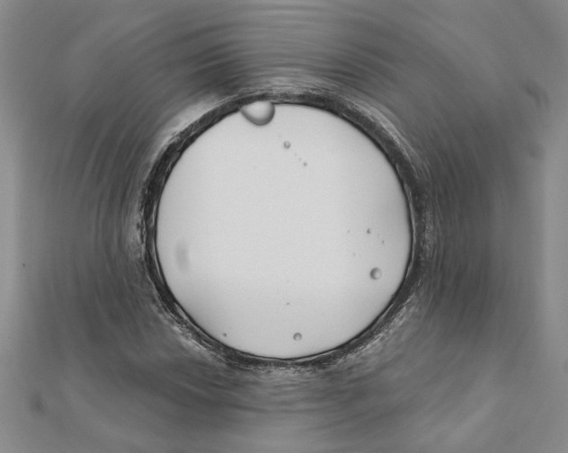 X0000111791018200908201127