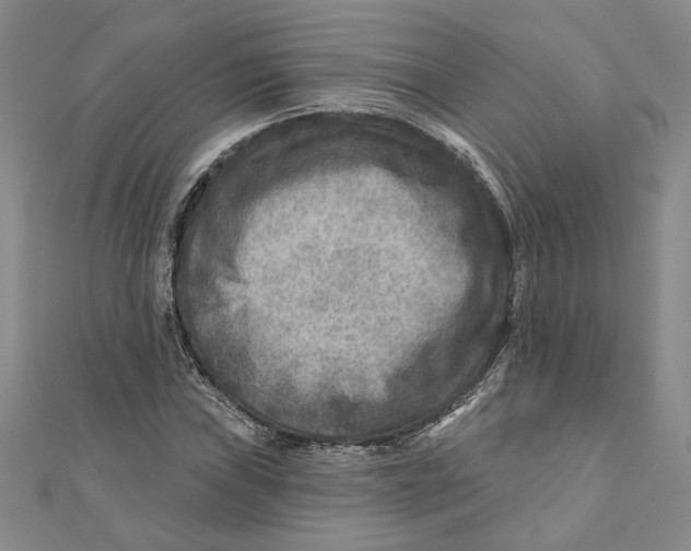 X0000111791019200908201127