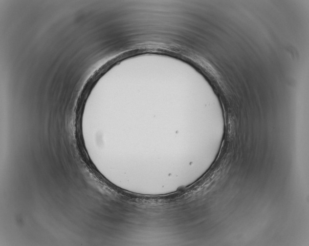 X0000111791020200908201127