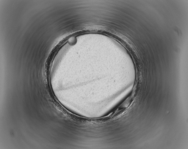 X0000111791022200908201127