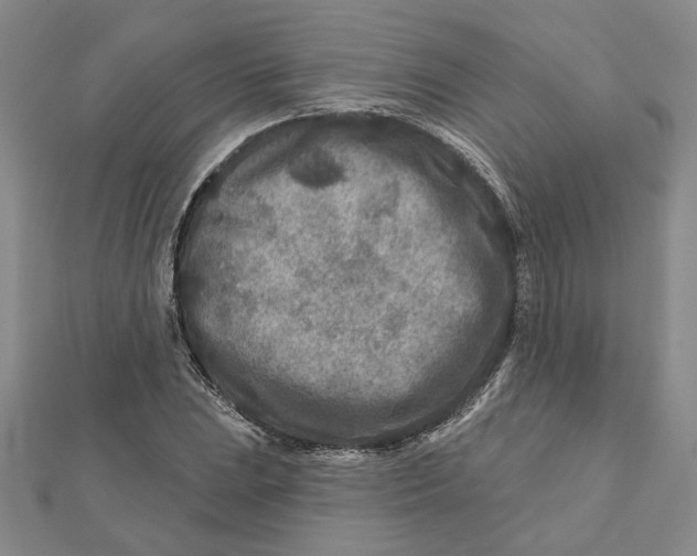 X0000111791023200908201127