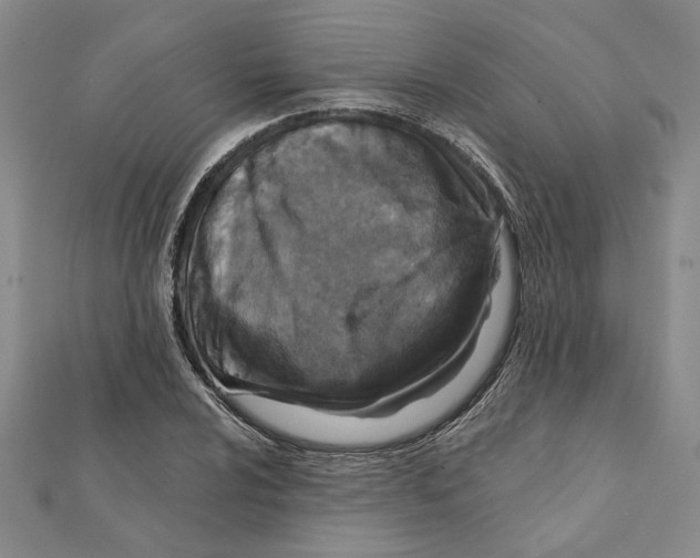 X0000111791024200908201127