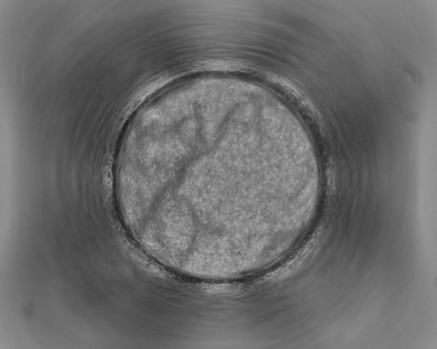 X0000111791025200908201127