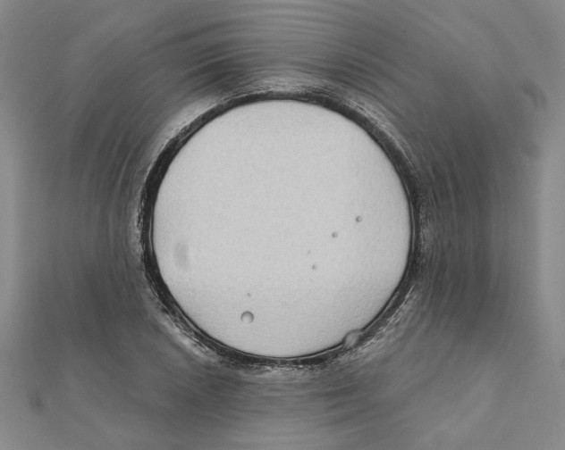 X0000111791026200908201127