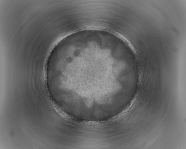 X0000111791027200908201127