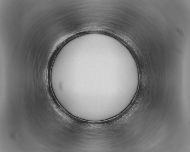 X0000111791030200908201127