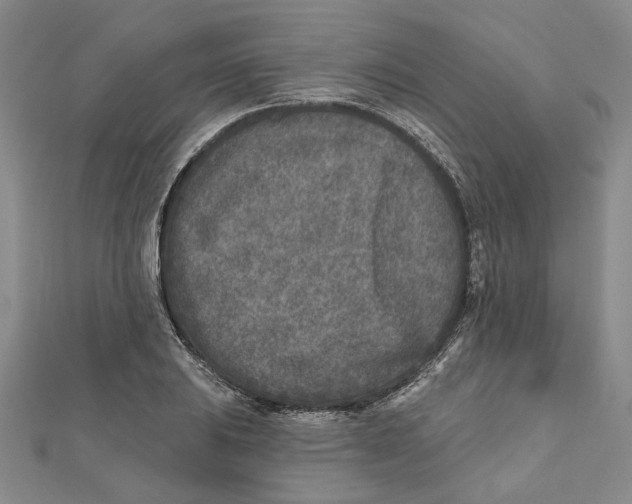 X0000111791031200908201127