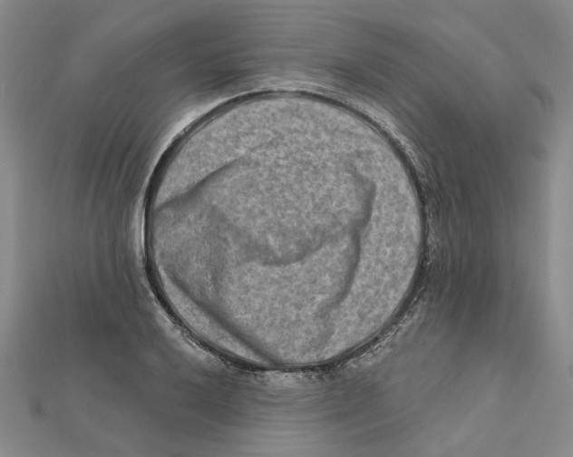 X0000111791032200908201127