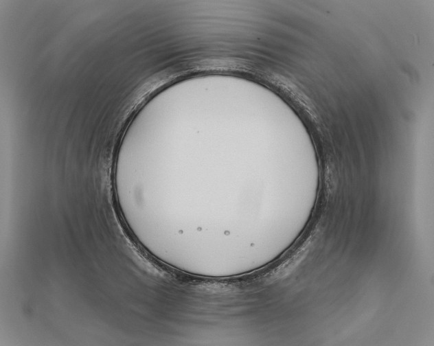 X0000111791033200908201127