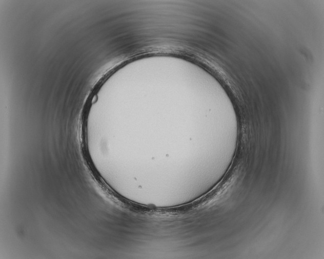 X0000111791034200908201127