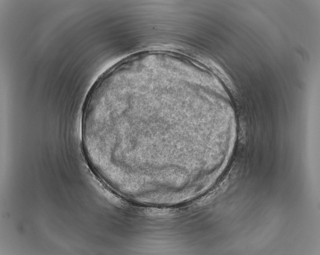 X0000111791036200908201127