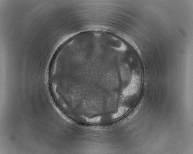 X0000111791037200908201127