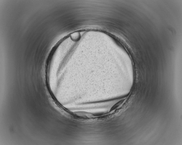 X0000111791038200908201127