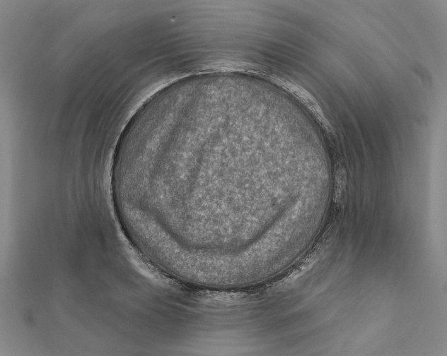 X0000111791039200908201127