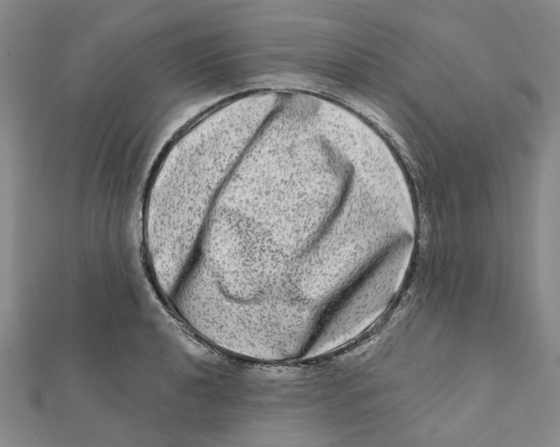 X0000111791040200908201127