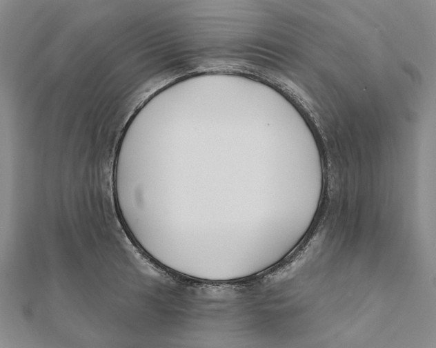 X0000111791041200908201127