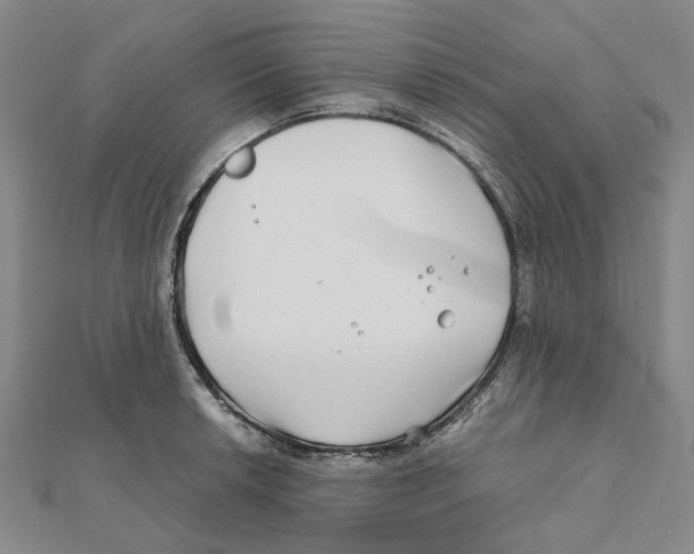 X0000111791042200908201127