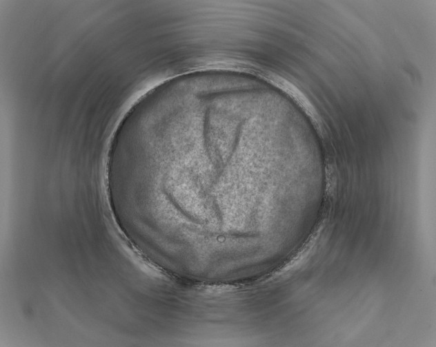 X0000111791043200908201127