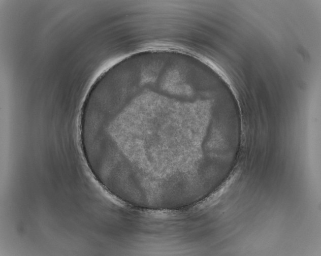 X0000111791045200908201127