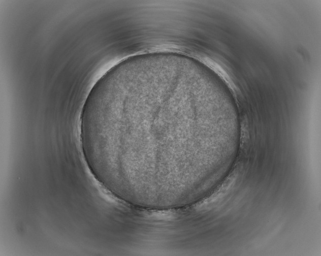 X0000111791047200908201127