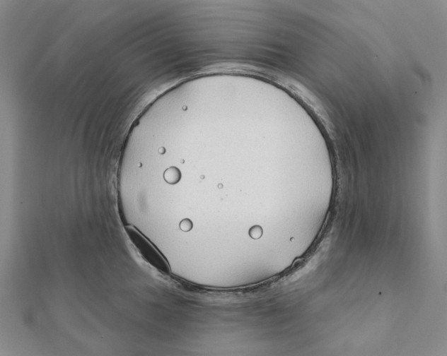 X0000111791049200908201127