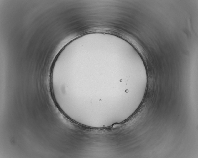 X0000111791050200908201127