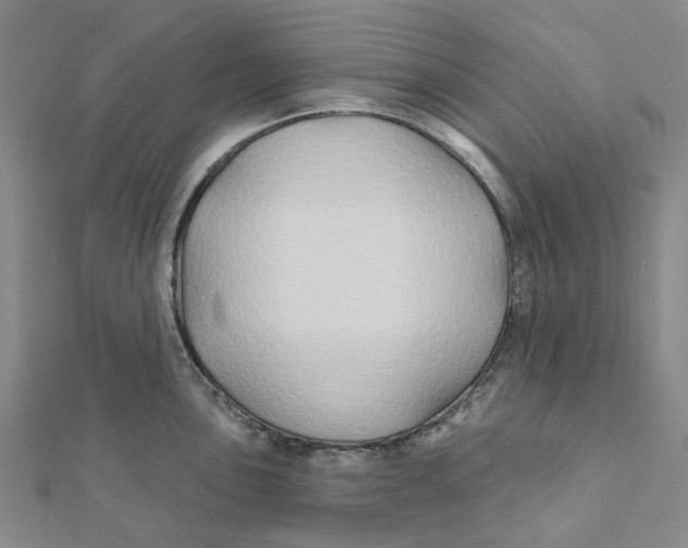 X0000111791051200908201128