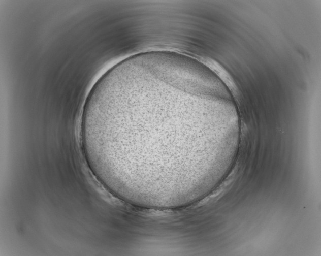 X0000111791052200908201128