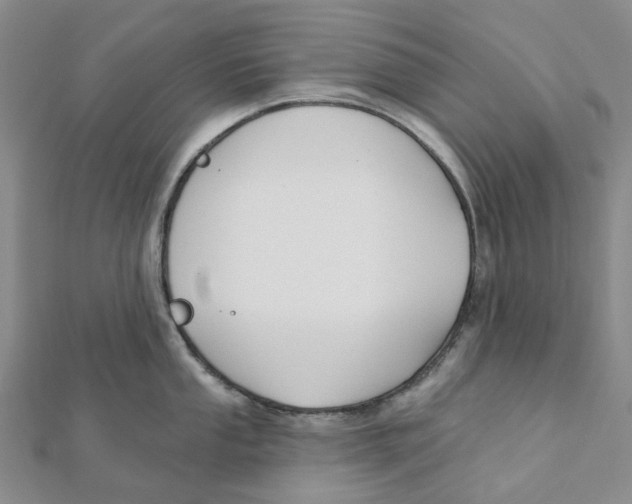 X0000111791053200908201128