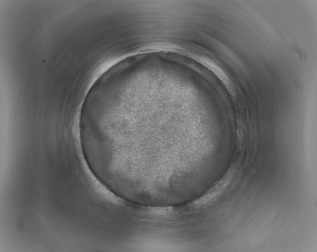 X0000111791055200908201128